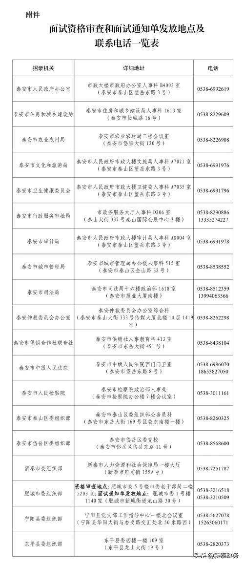 公务员资格初审主体与审核过程深度解析