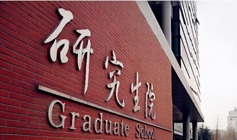 职场成功三要素，能力、学历与态度的深度探讨