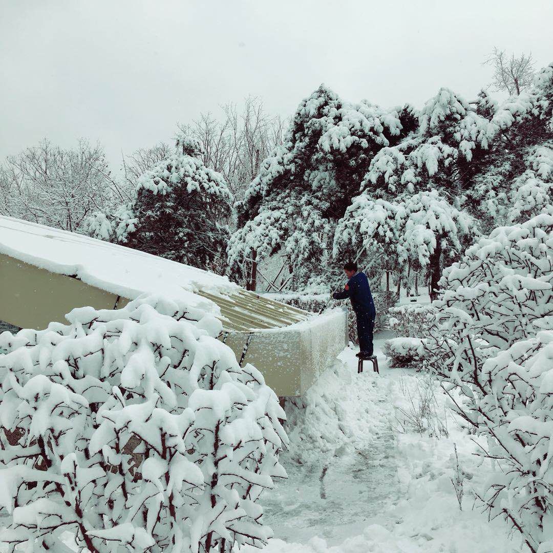 哈尔滨首个大雪人亮相