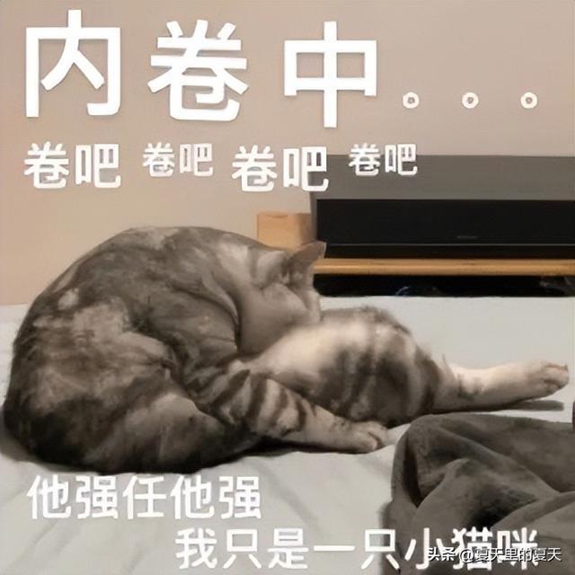 吧唧高价背后的原因探究与价值重塑