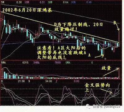 赣州一肖一马,稳定解析策略_Plus90.743