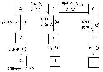 三肖三期必出三肖三必中,快速响应计划设计_标准版43.992