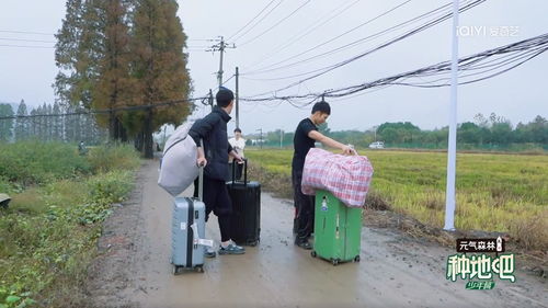 种地吧直播，农业新时代与直播交融的力量