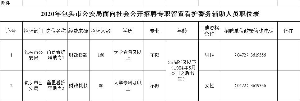 国安局政审应对之道，严格审查与合理应对策略的双重保障