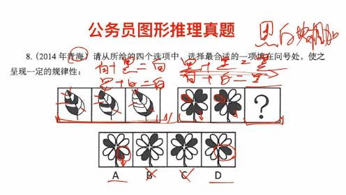 奇妙探索之旅