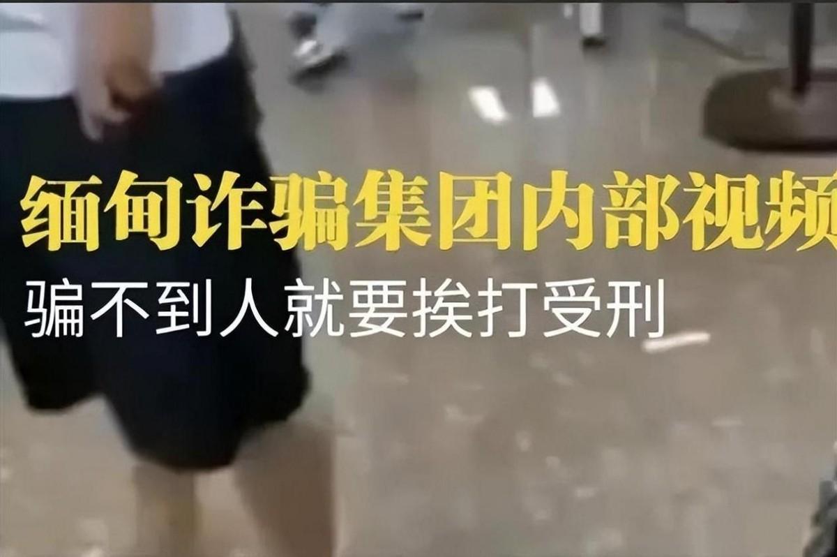 深度探讨，评论机票价格引发博弈心态与驯化算法的探讨