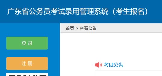 公务员考试资格审查详解，审查流程、内容及要点概览