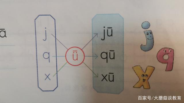 揭秘小学拼音特殊组合，j、q、x与ü的交融——为何省略ü上的点？并非故意设难点解析