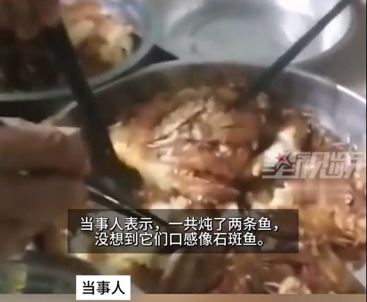 男子含泪烹饪财神鱼，死亡与食欲的交织故事