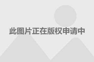 李嘉欣与老公滑雪之旅，白皙肌肤闪耀雪场