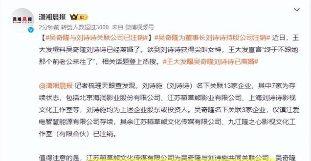 王大发回应刘诗诗方公函，沟通背后的故事与未来展望揭秘