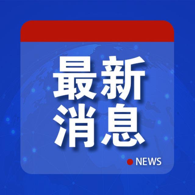 坠机事故发现生还者，生命的奇迹与救援力量展现奇迹时刻