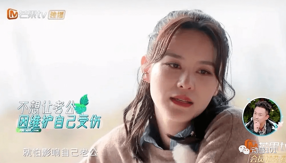 杨子口中的女明星背后的故事揭秘