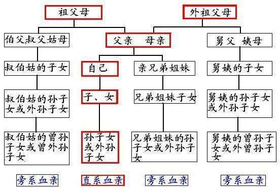 直系亲属范围详解，哪些人属于直系亲属？