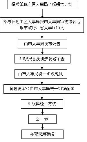 公务员分类考录工作流程全面解析