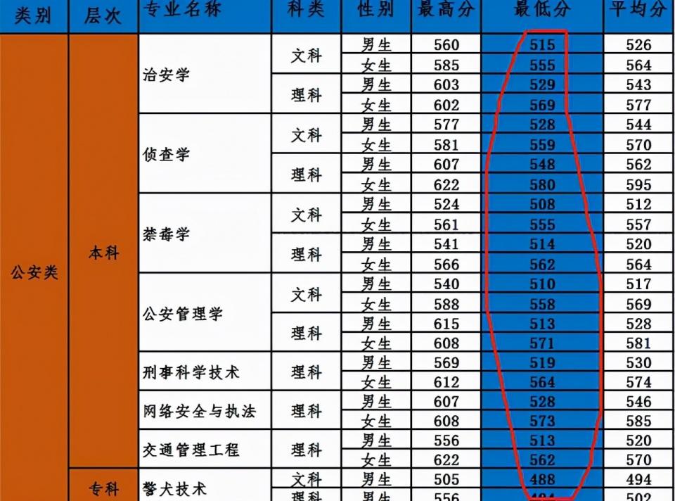 2022年公务员政审重要性及流程深度解析