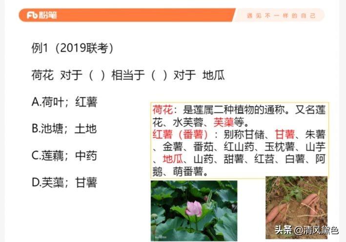 公务员考试关键词解析，深入了解考试内容与备考策略