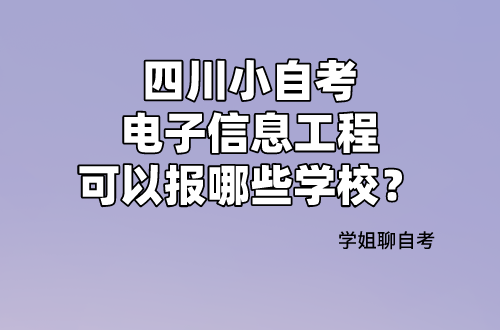 电子信息考公，挑战与应对策略