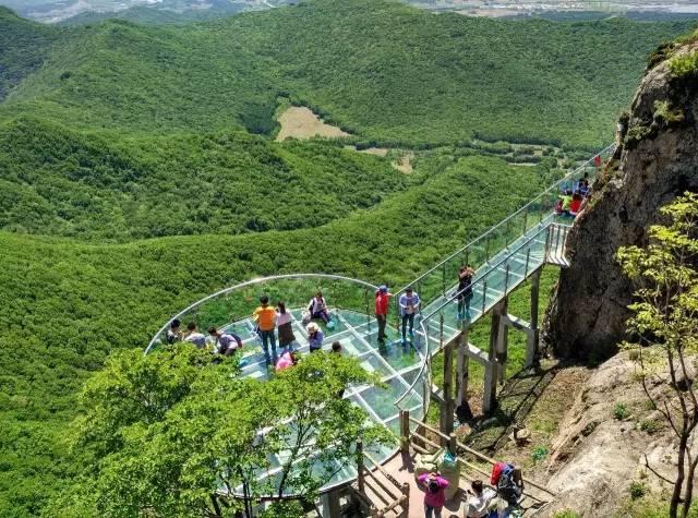 凌波微步之旅，父女共赴体育的奇妙旅程