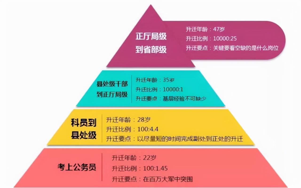 公务员等级与职位概览，构建服务型政府的核心基石