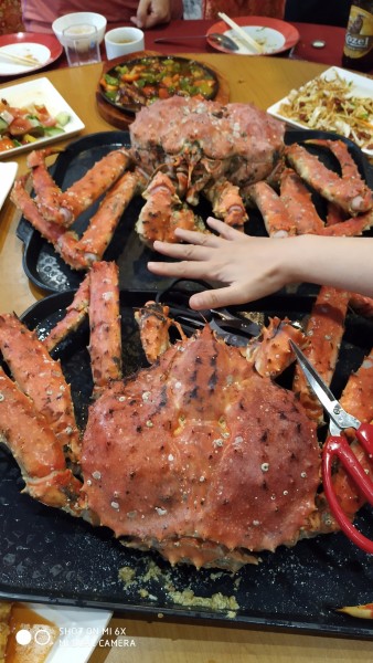 韩国老丈人的帝王蟹盛宴，海洋美食盛宴之旅体验