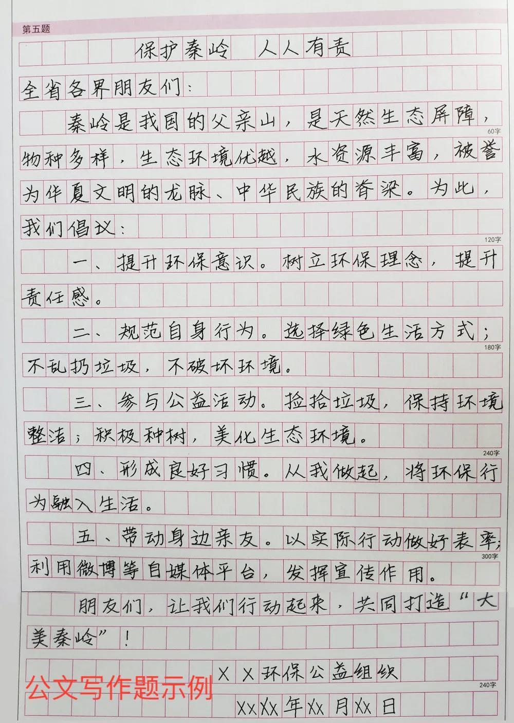 公务考试申论攻略与应试技巧