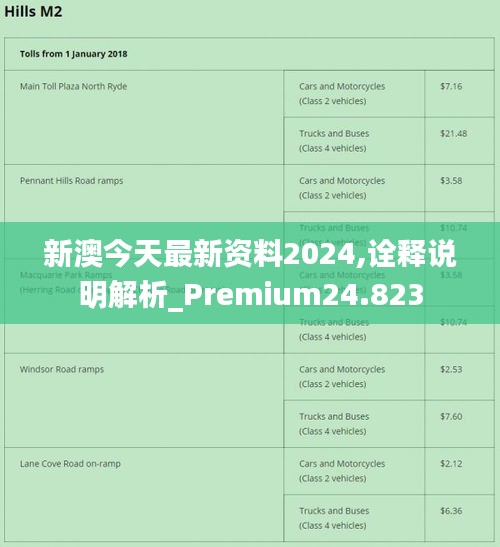 新澳2024最新资料135期,实践评估说明_经典版39.269