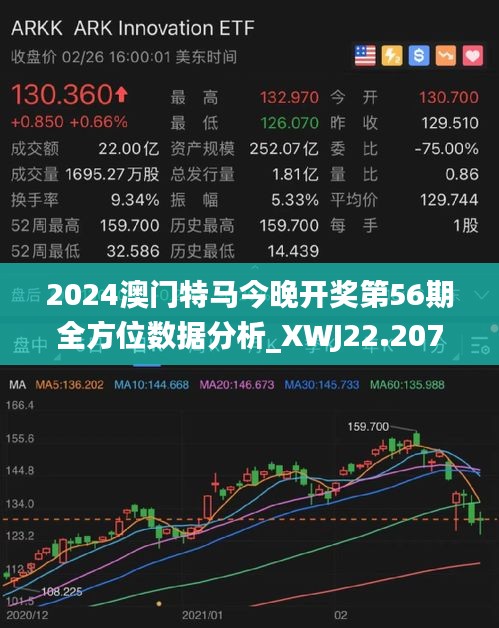 2025年澳门特马今晚,精细设计策略_PT89.459