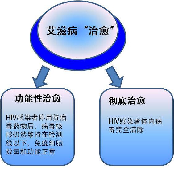 功能性治愈艾滋病病毒感染者的探索之路