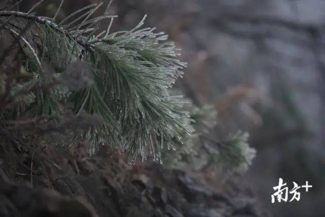 多地即将遭遇紫色严寒警告，寒冷侵袭在即