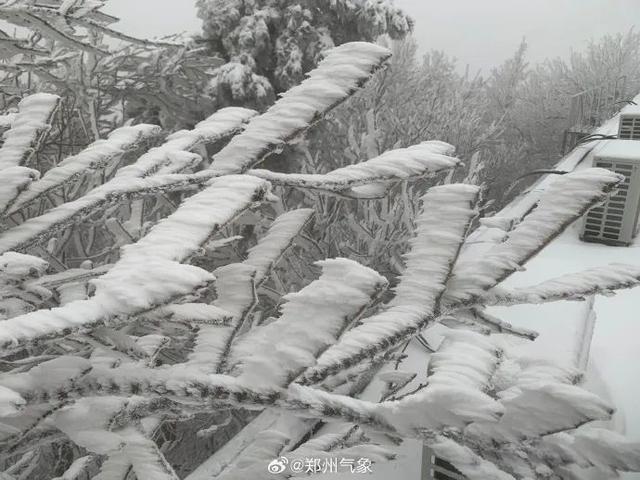 郑州大暴雪下的挑战与希望