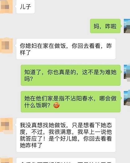 新婚第一年，婆婆的口令红包引领家庭和谐新篇章