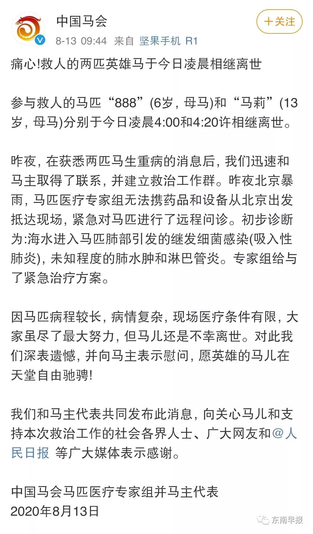 白龙马与主人的生死救援，患难与共的真情故事