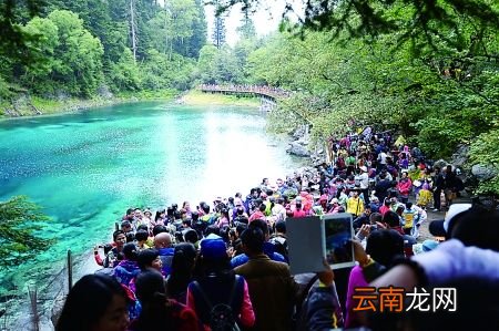 九寨沟景区门票政策揭秘，辟谣40岁以上免票，真实优惠与旅游须知一网打尽