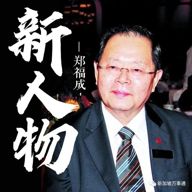 啄木鸟创始人，毅力与创新铸就传奇发家史曝光