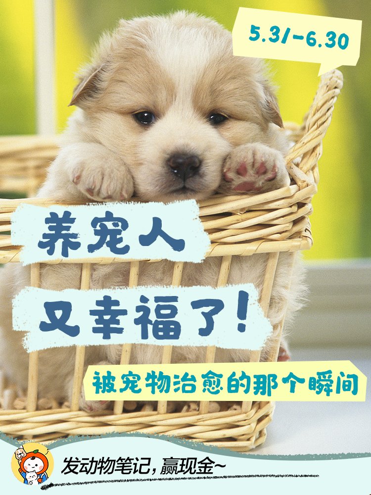 我会好好的送给养宠人的祝福